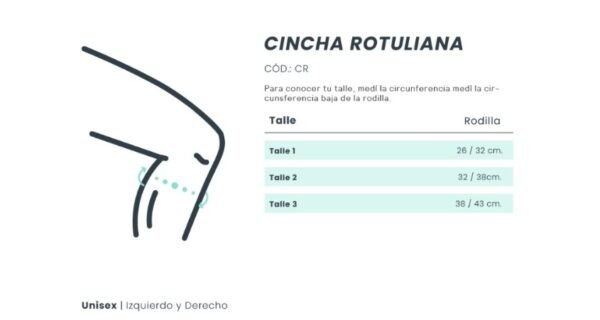 CINCHA ROTULIANA - Image 2