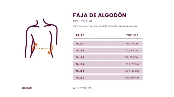 FAJA BIEN STAR REGULABLE DE 28 CM - Image 2