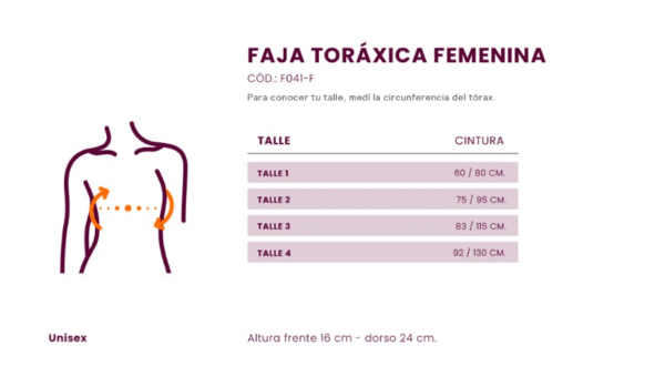 FAJA TORÁXICA FEMENINA / MASCULINA - Image 2